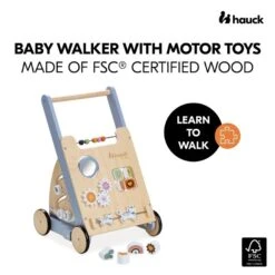Hauck Learn To Walk Motorik-Lauflernwagen -Säuglingspflege 4894352813120.pt01.learn to walk skills