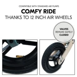 Hauck Balance N Ride Laufrad Turtle -Säuglingspflege 4894352813151.pt04.balance n ride turtle