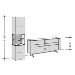 Hülsta Gentis Wohn-Kombi 7 - Akzent Naturstamm Inkl. LED-Beleuchtung Vitrine -Säuglingspflege gentis 7 strich